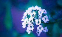 讽刺朋友友情变了的句子