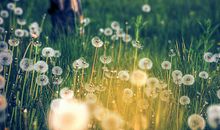 关于跳舞和友情的句子