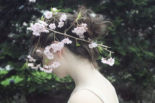 关于舞蹈和友谊的句子1