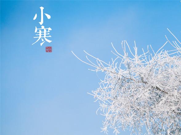 小寒冷公共谚语