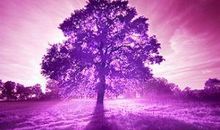 感觉自己失败友情的句子