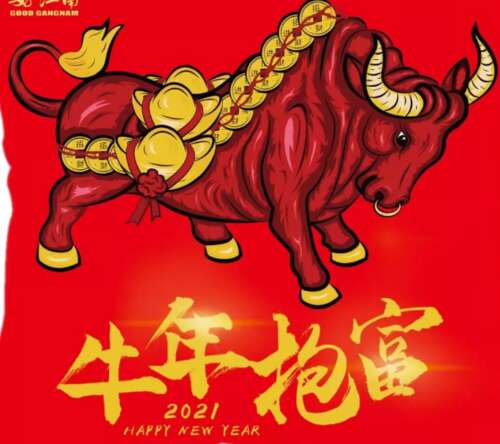 新年第一天的图片
