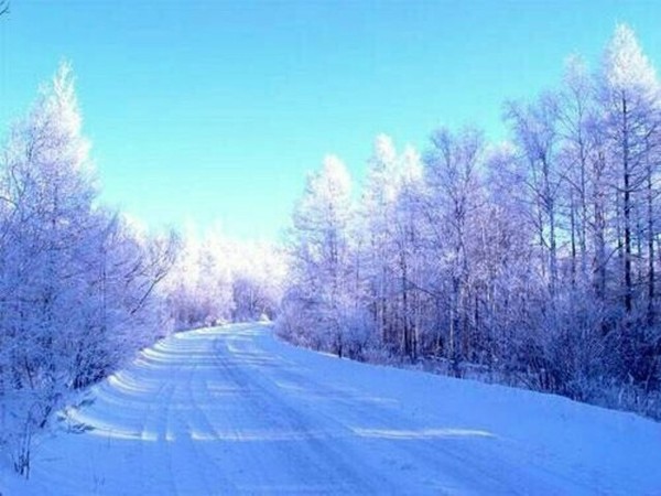冬天的雪谈论这句话