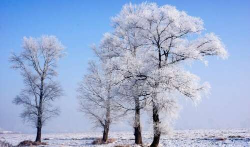 雪覆盖了关于第一个关于这句话的第一个场景的雪