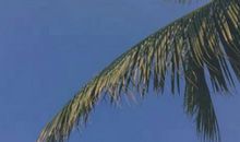 2021最新签名女10字