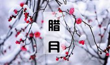 描写腊月最美的句子