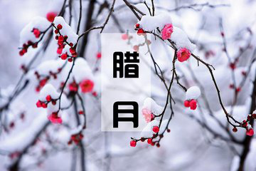 真正的朋友是当你什么都没有，那些不离开你的人。你好十二月。