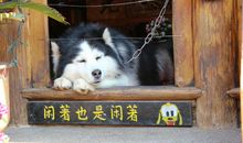 2021年最新搞笑的句子