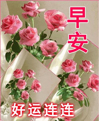 最温暖的清晨句子