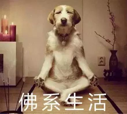 佛生活座右铭