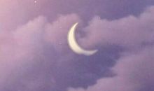 表达浓厚的友情的句子