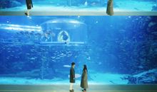 多年的朋友情句子