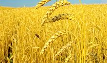 描写工友情相聚时刻的好句子