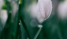 与友情有关的好词好句子