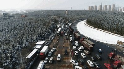 春节回报
