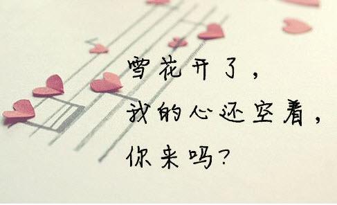 一个人的寂寞和悲伤的签名
