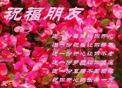 谁锻炼的问候