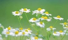 早上好的句子短语励志