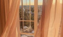 心满了，脑子就空