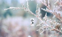 今日小寒的说说