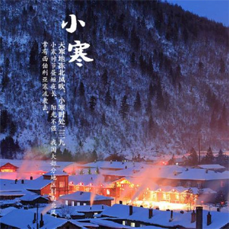 24种小冷诗1