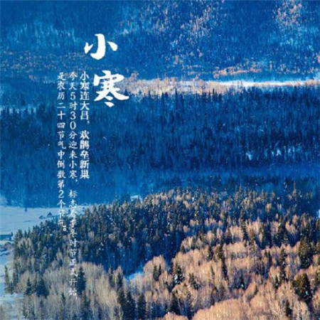 24种小冷诗