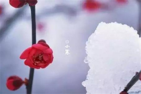 天堂看到东坡，但这是一个行人浪费。