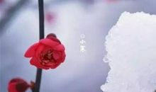 小寒节气优美的诗句
