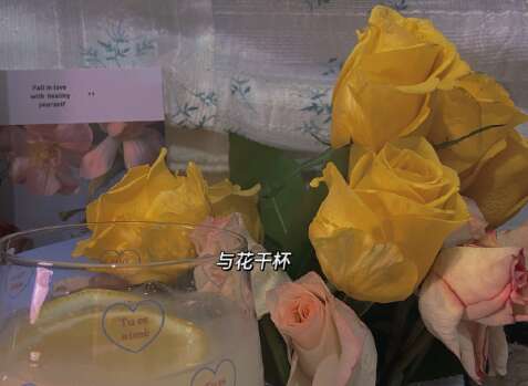 美丽的爱情问题