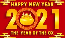 适合新年发的说说