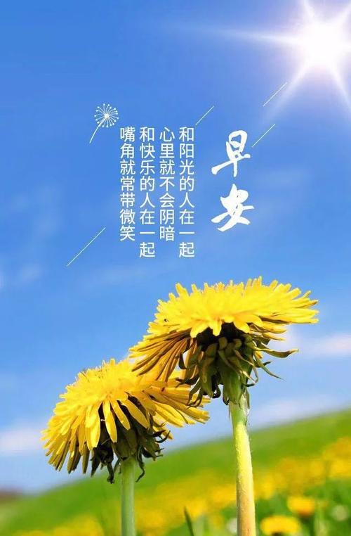 简单的早晨短句