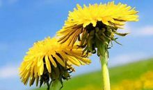 简单早安短句子