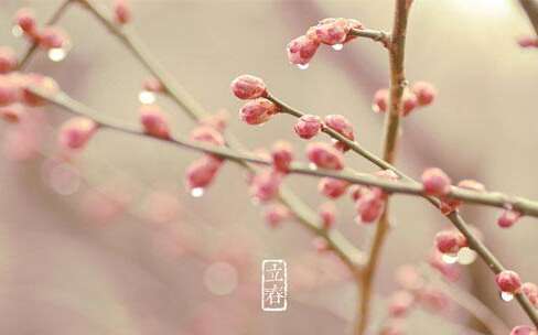 Lichu Poetry.