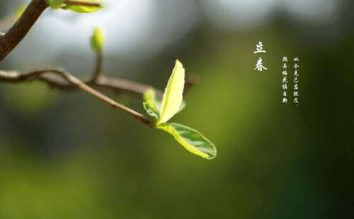 Lichu Poetry 1.