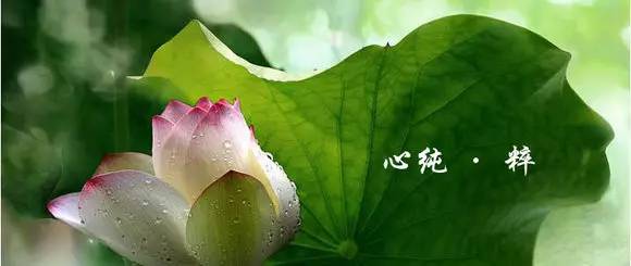佛的警察1