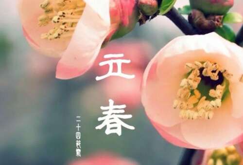 春节句子1