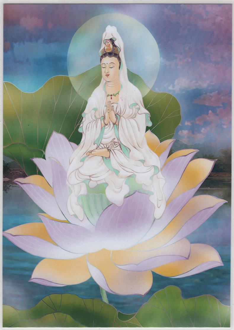 禅宗语言适合朋友