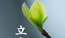 描写立春的唯美句子