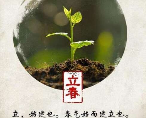 描述美丽的句子