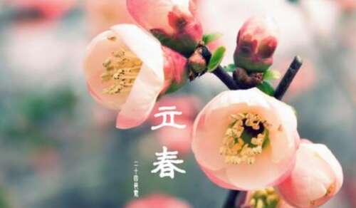 描述一个美丽的句子1