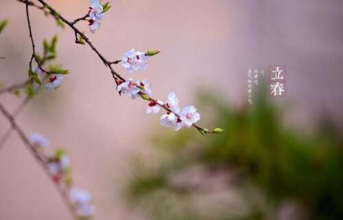 适合句子1
