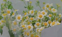 适合发朋友圈感恩的话