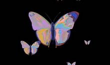 让你整个冬季感到幸福的签名