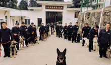 赞美警察的经典句子 警察节的朋友前文案说说