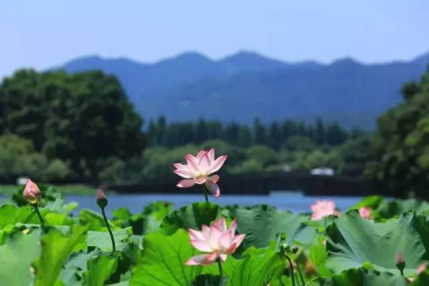 15，夏天结束了，秋天在未来;鲜花会很感激;农作物将热情，收获季节将被释放;支付的努力，成功不远;手机会来，祝福会来！愿你有很多幸福！