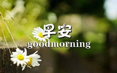 15.真诚地，给你我的心，生活可以和平;你会很宽，你可以担心自己，你可以放心;要爱人，你会有一个甜蜜和清晰的。早上好，兄弟姐妹！