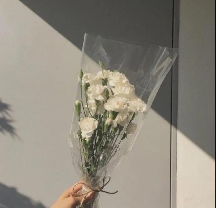 美丽的柔和文本句子