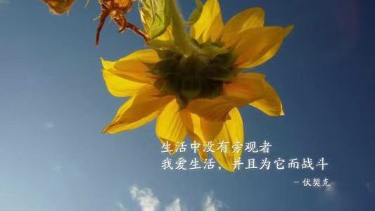 8个字符的暴君韵罗汉