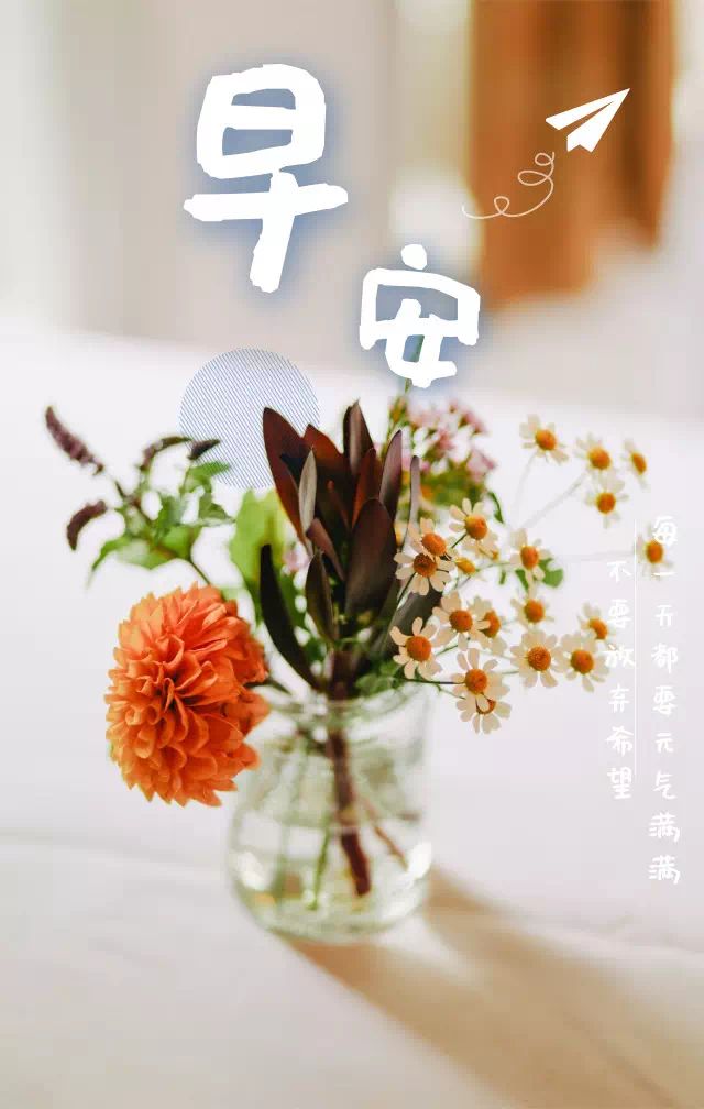 早上好2021张最美丽的图片