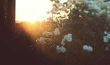 霸气口号大全嚣张的8字